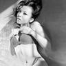 高清视频免费看